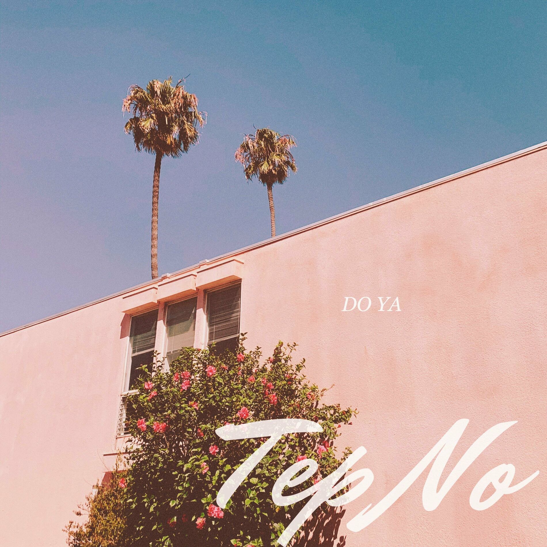 Album cover of Do Ya