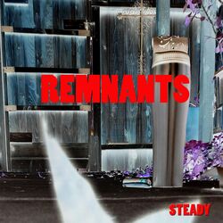 Cover of Remnants