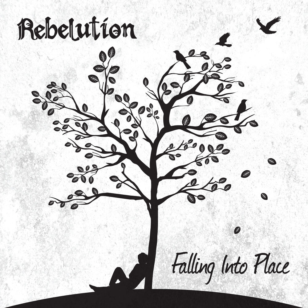 Picture of Falling into Place