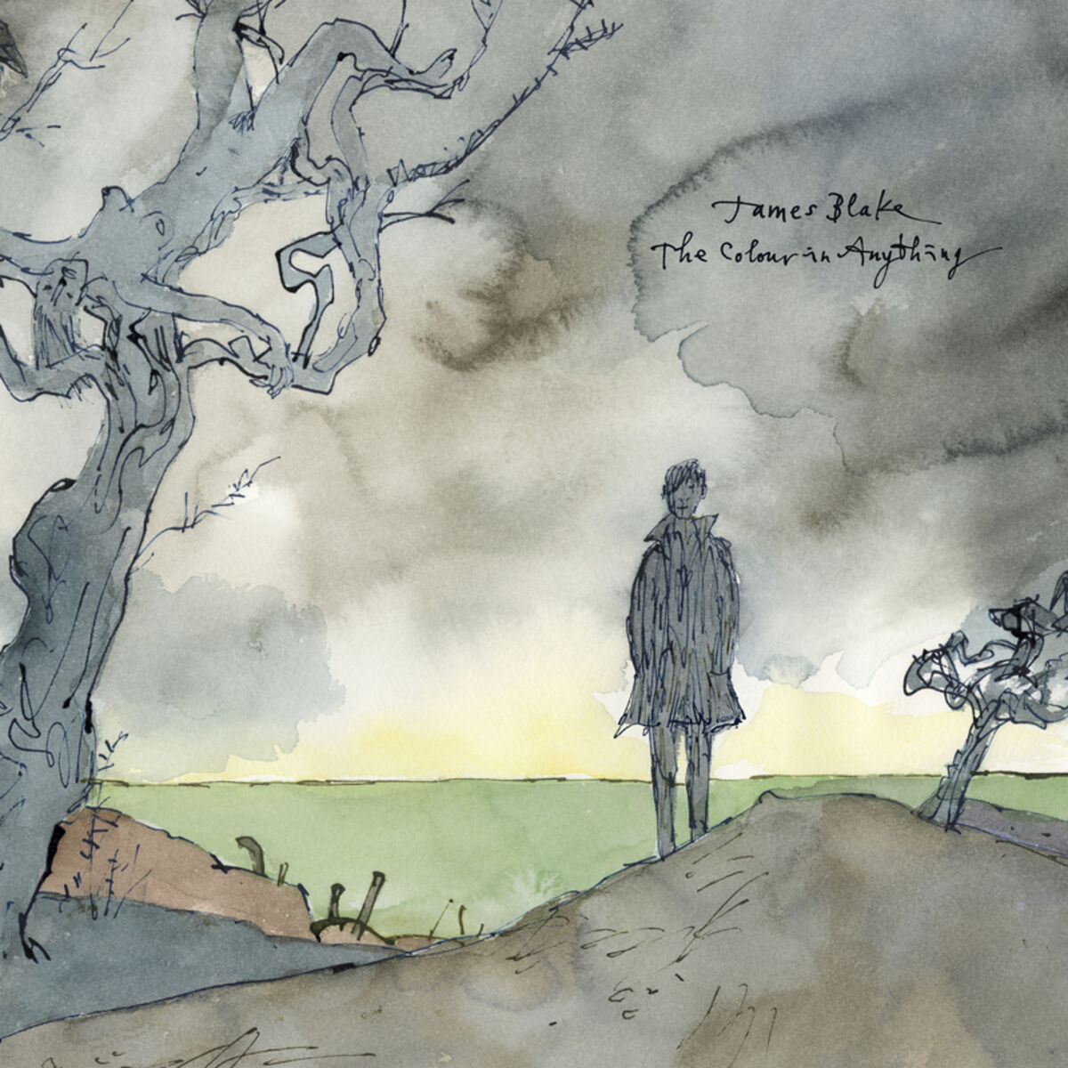 Album cover of I Need A Forest Fire