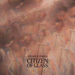 Cover of Citizen of Glass (Instrumental)