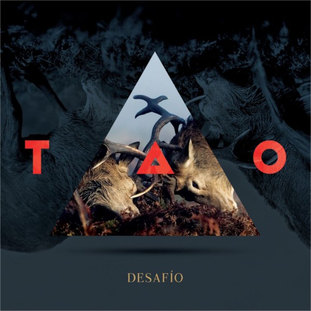 Picture of Desafío