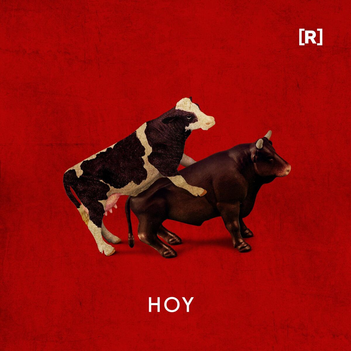 Album cover of Hoy