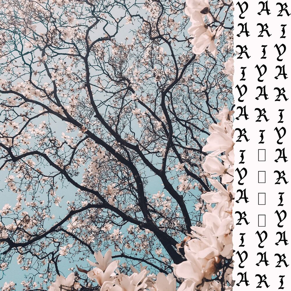 Picture of Yari
