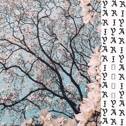 Cover of Yari