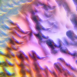Cover of Wait. lifted EP