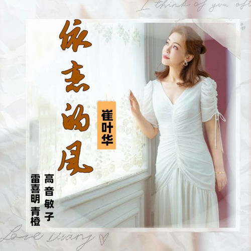 依恋的风 (舞曲)