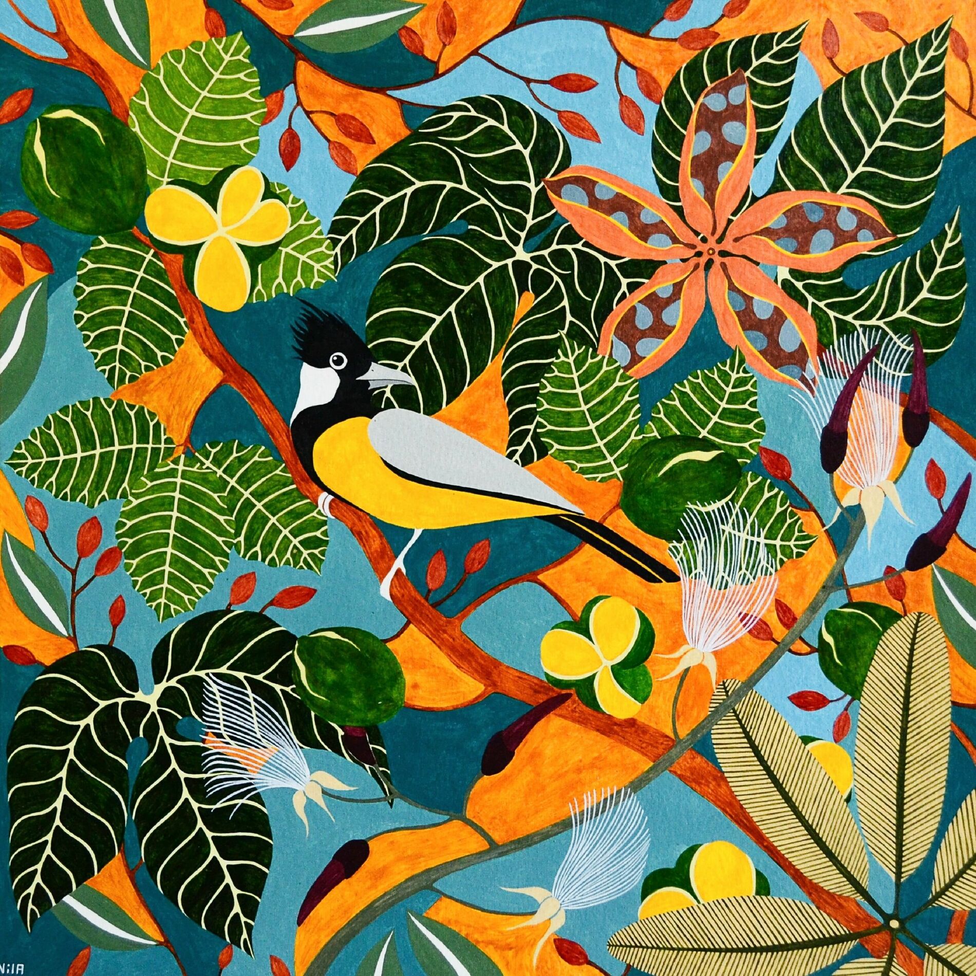 Album cover of Minha Alma Canta