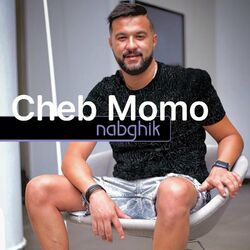 Cover of nabghik