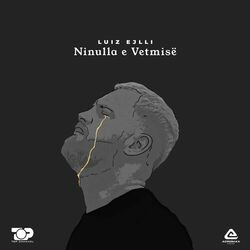 Cover of Ninulla E Vetmisë
