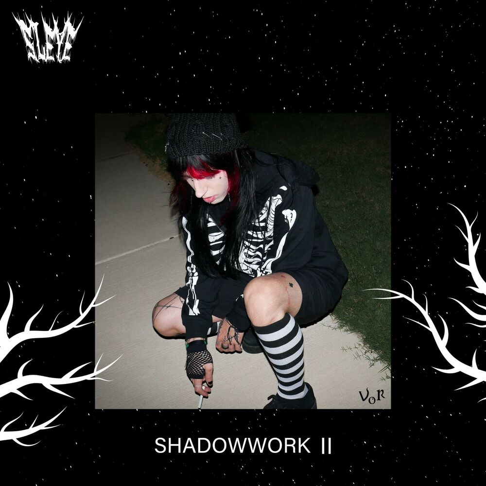 Picture of SHADOWWORK II