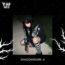 Cover of SHADOWWORK II