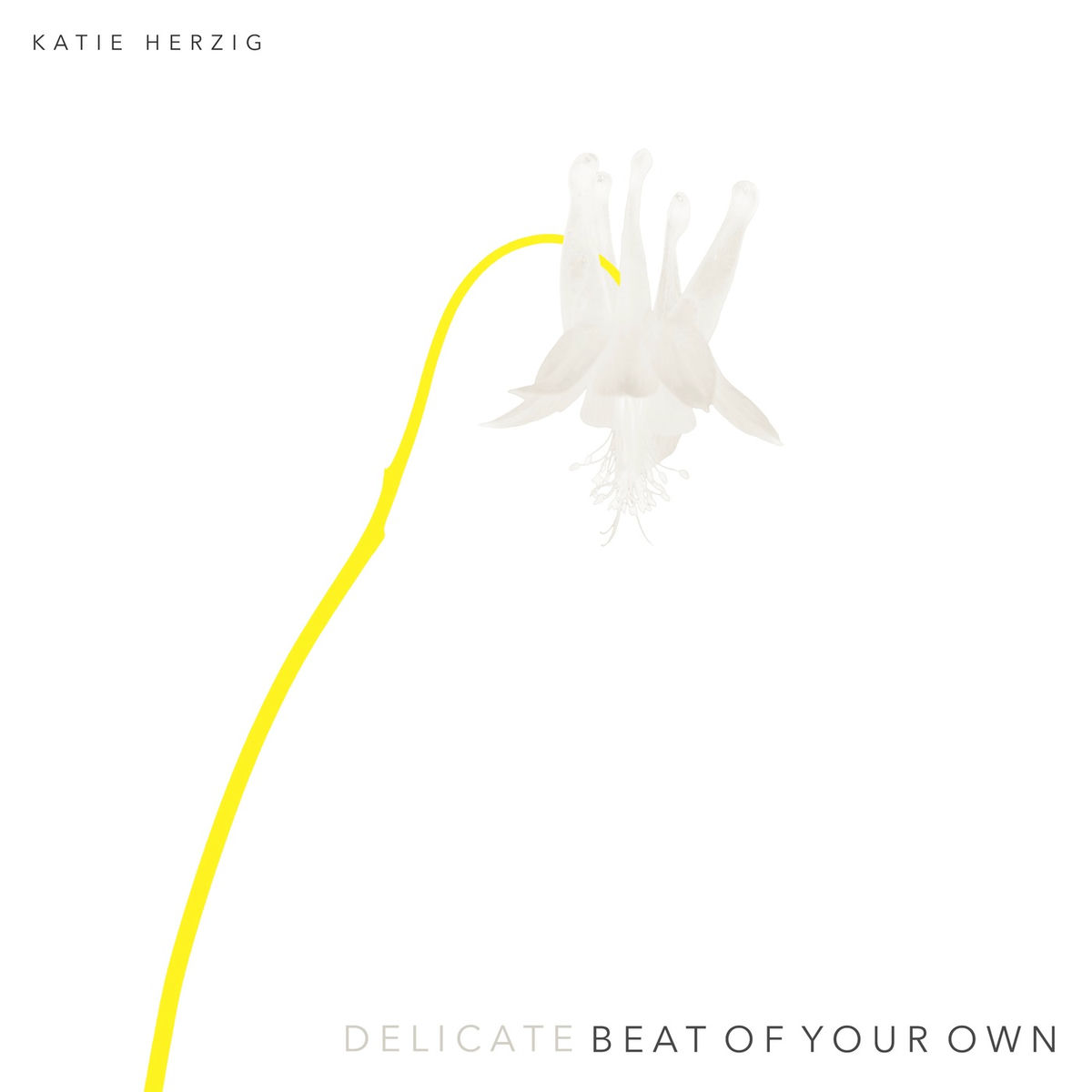 Album cover of Beat of Your Own (Delicate Version)