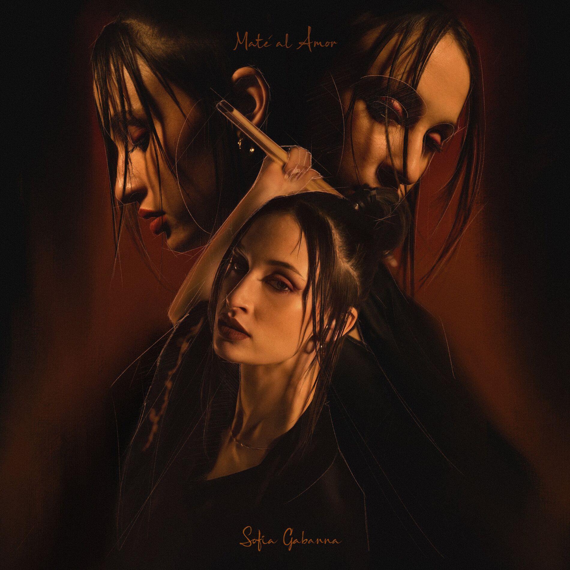 Album cover of Maté al Amor