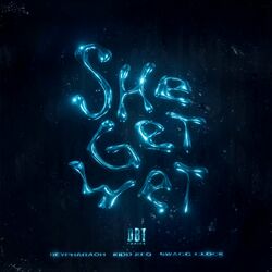 Cover of She Get Wet