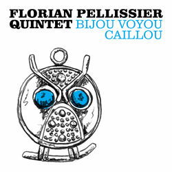 Cover of Bijou voyou caillou
