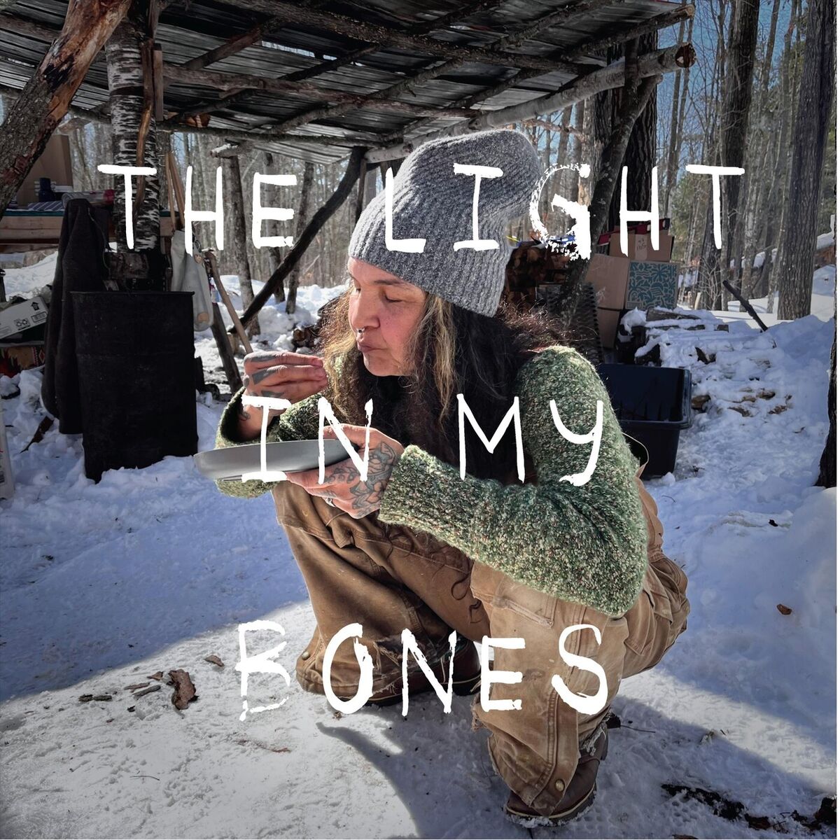 Album cover of The Light in My Bones