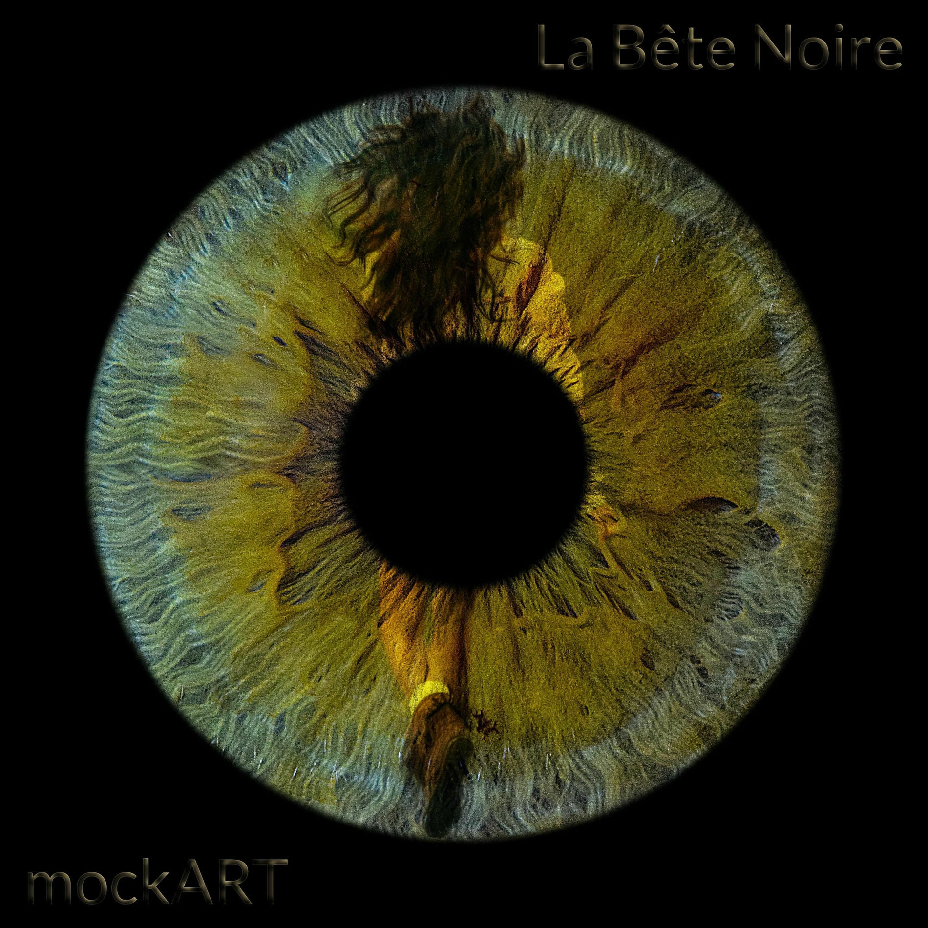 Album cover of La Bête Noire