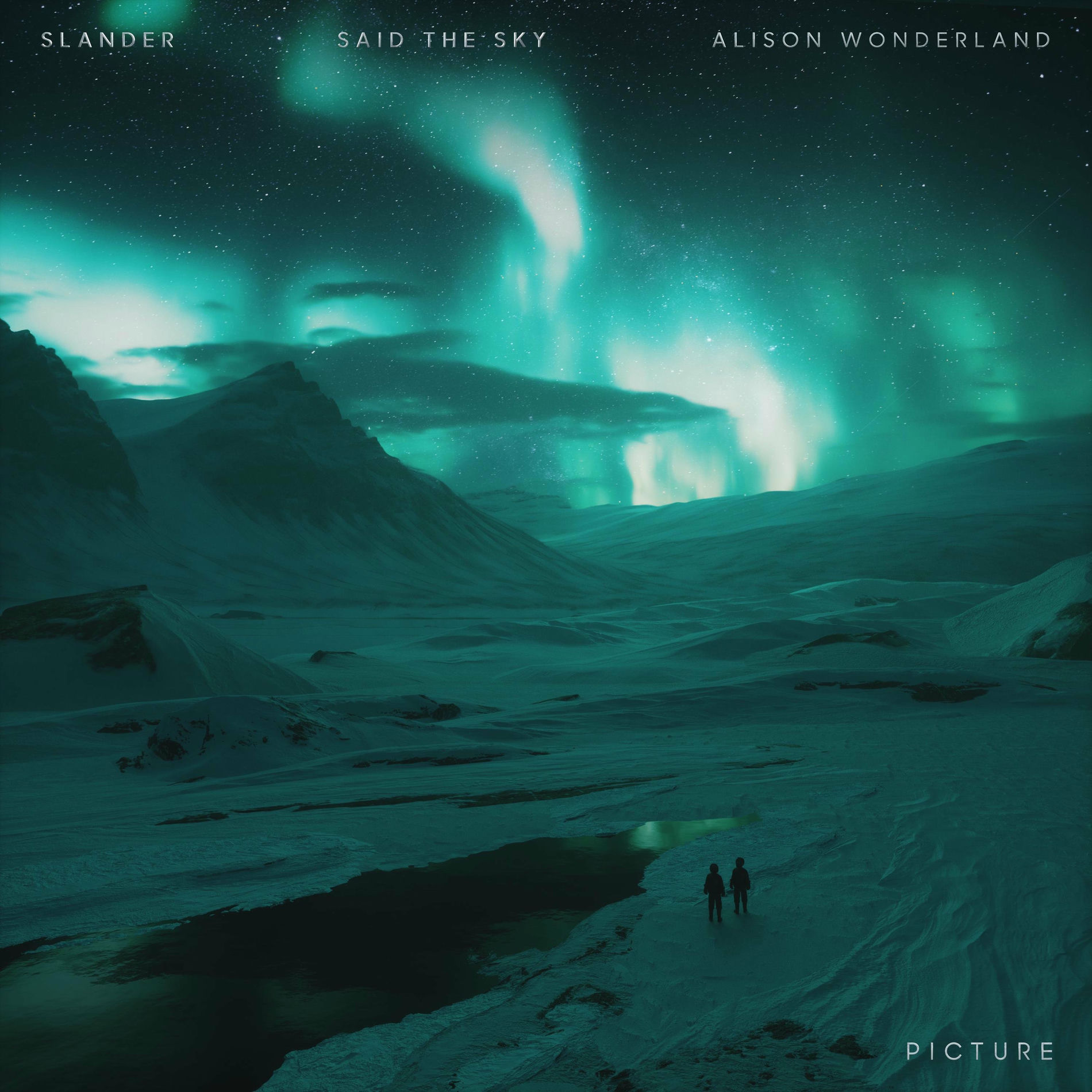 Album cover of Picture