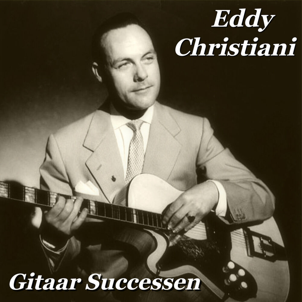 Picture of Gitaar Successen