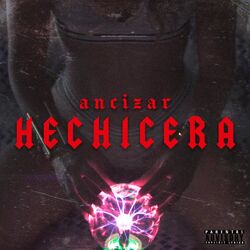 Cover of Hechicera