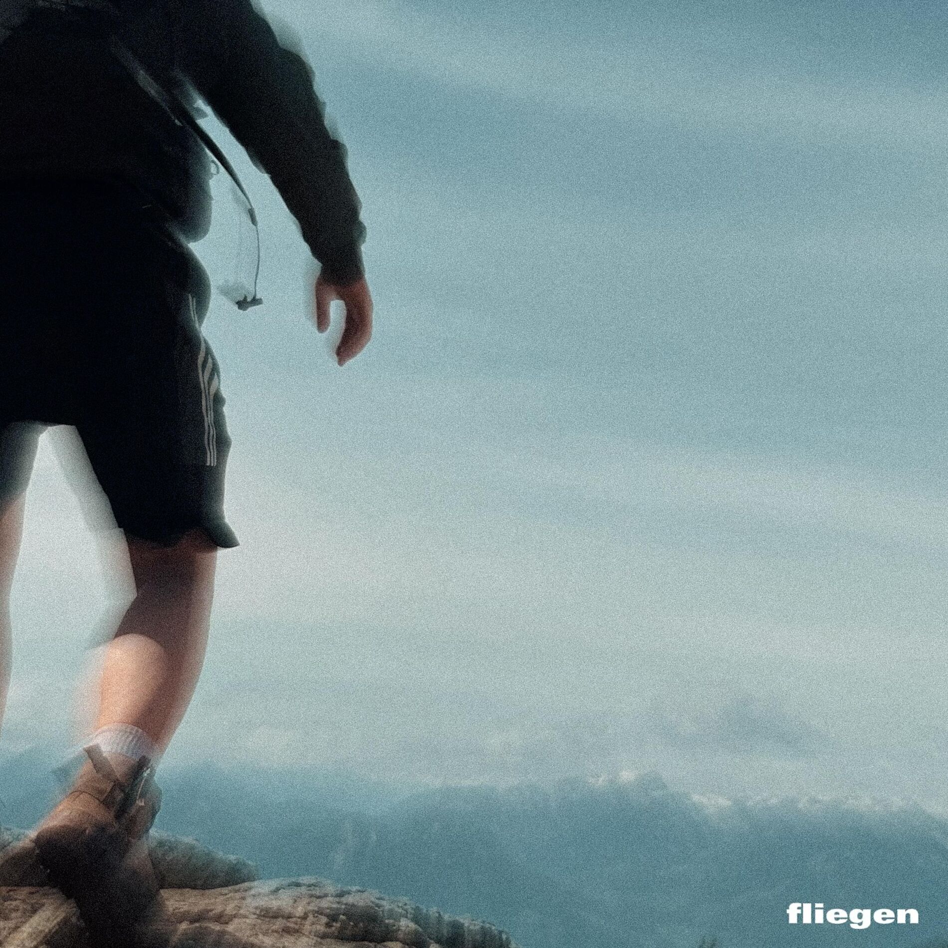 Album cover of Fliegen