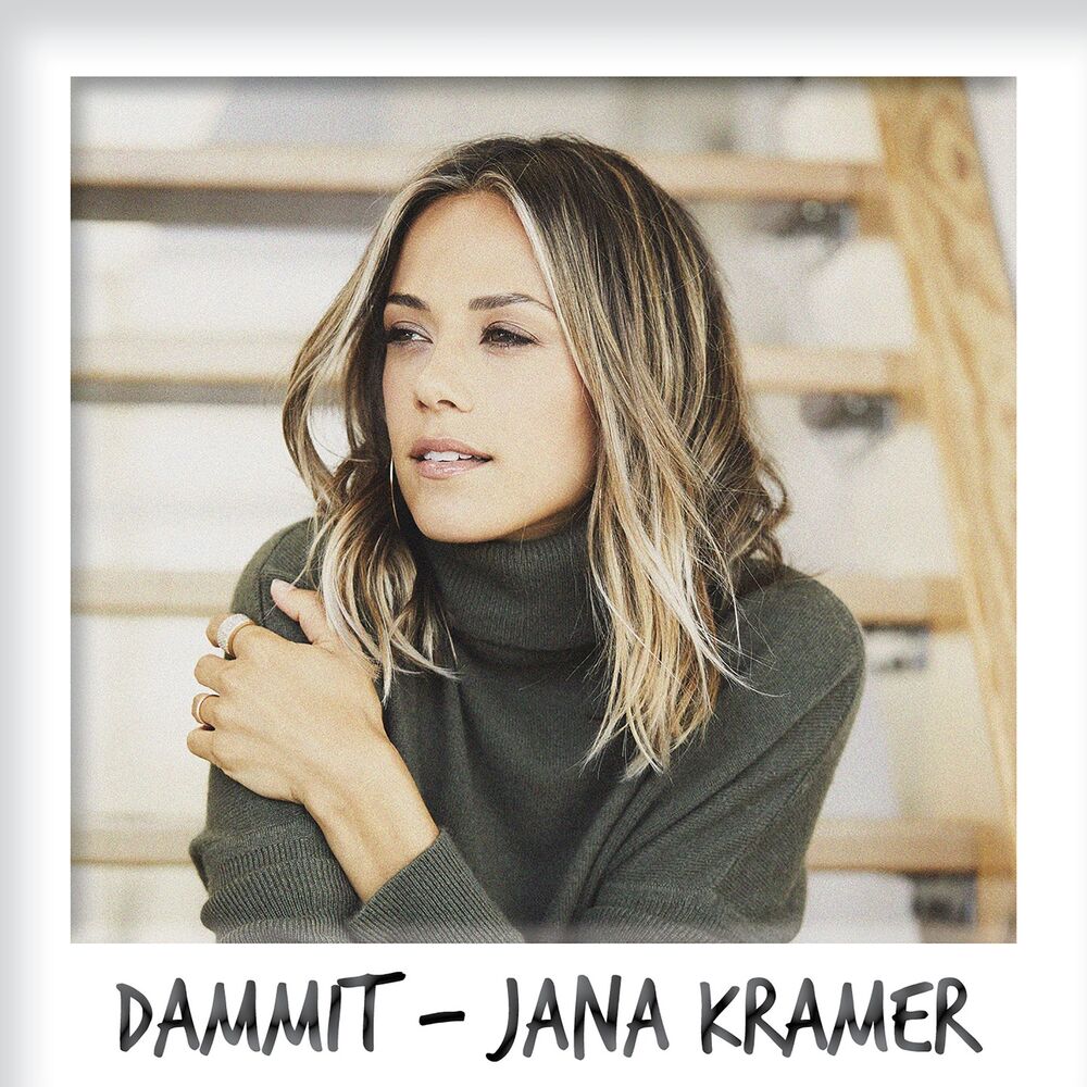 Picture of Dammit