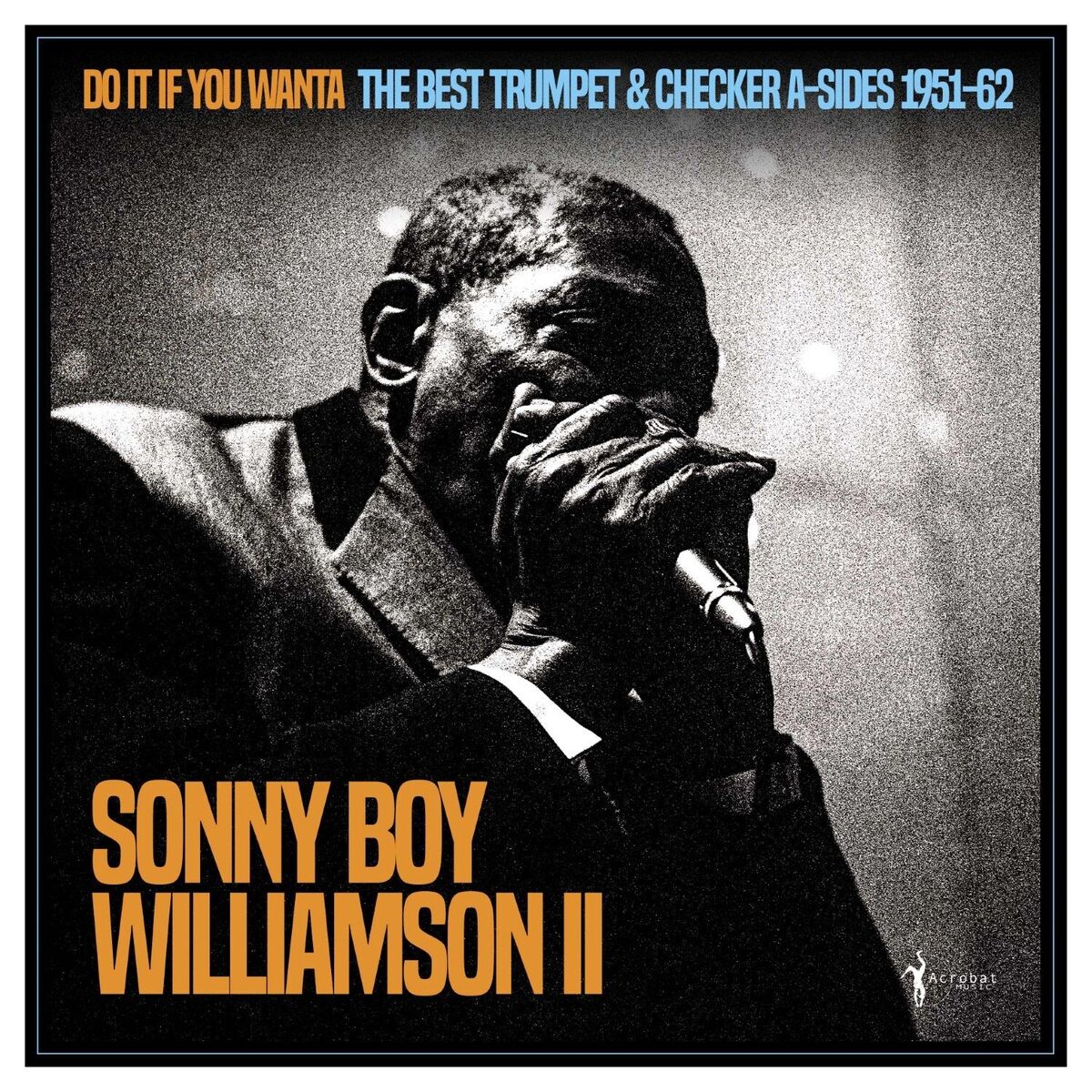 Album cover of Do It If You Wanta: The Best Trumpet & Checker A-sides 1951-62