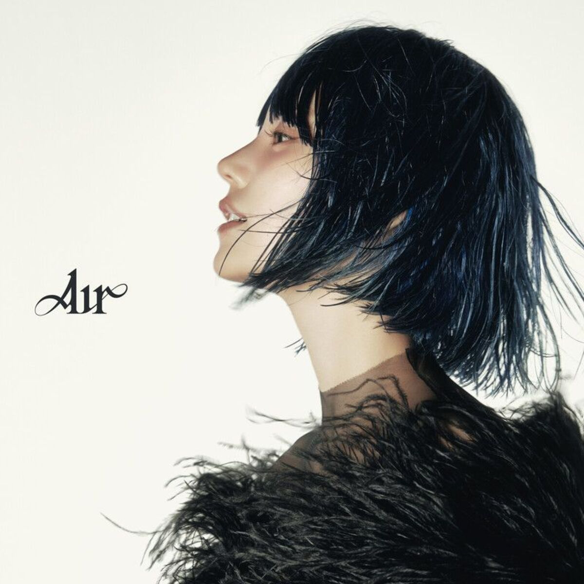 Album cover of Air