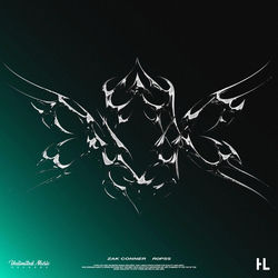 Descargar When We Were Young (The Logical Song) (HardTekk) - Zak Conner MP3