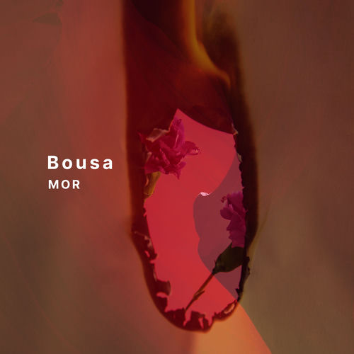Bousa
