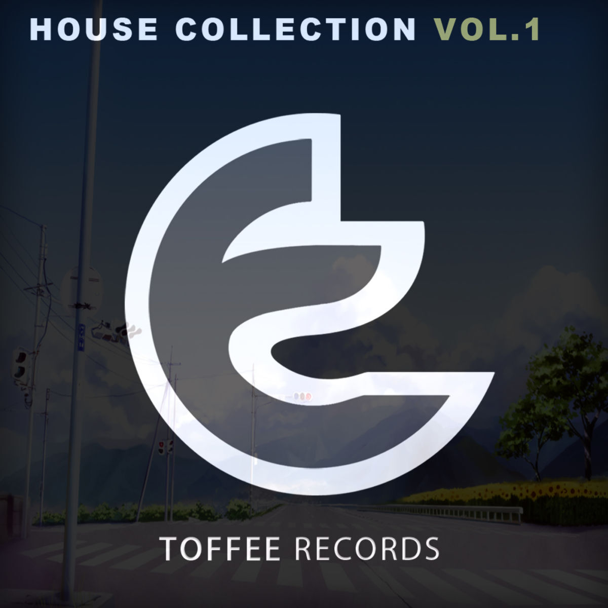 Album cover of House Collection: Vol.1