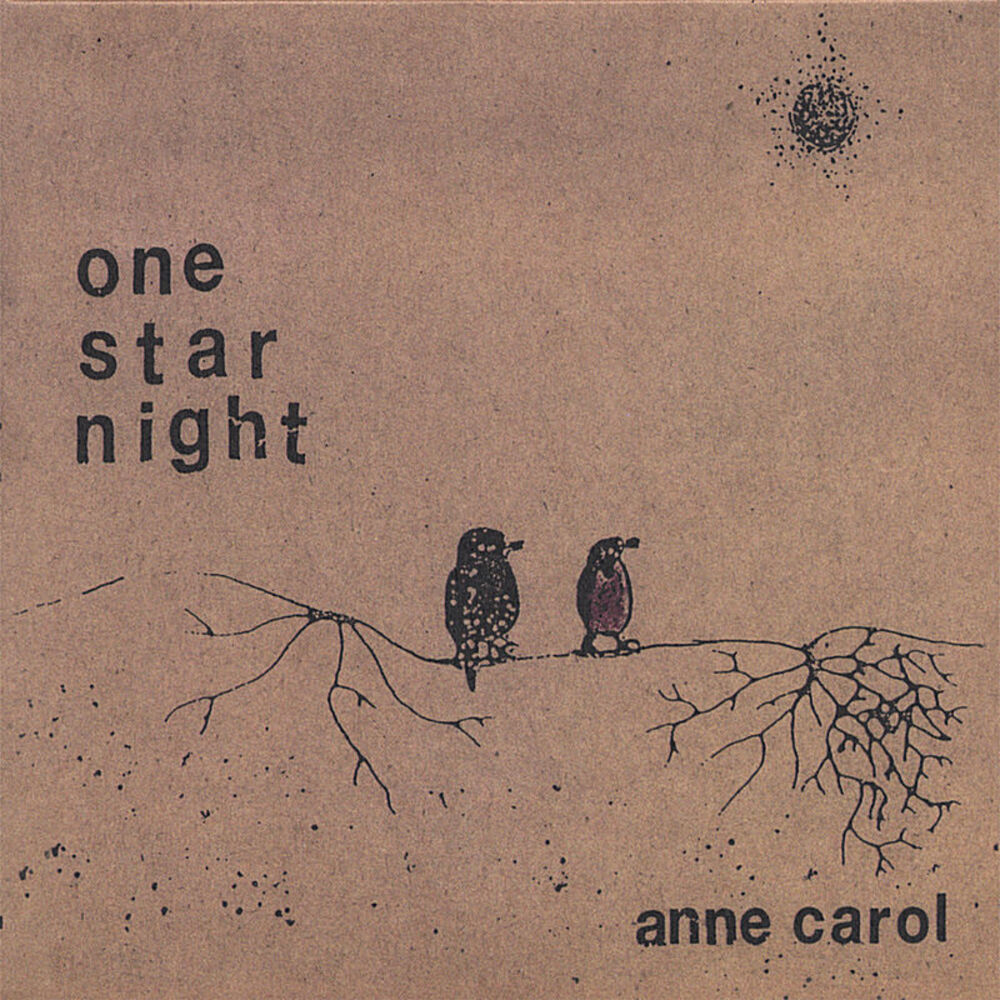 Picture of One Star Night