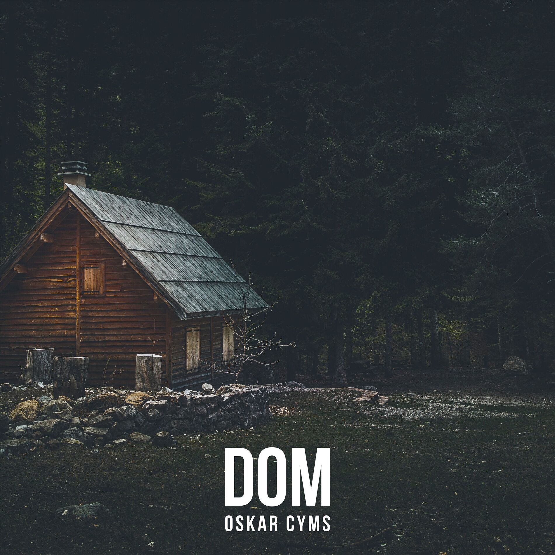 Album cover of Dom