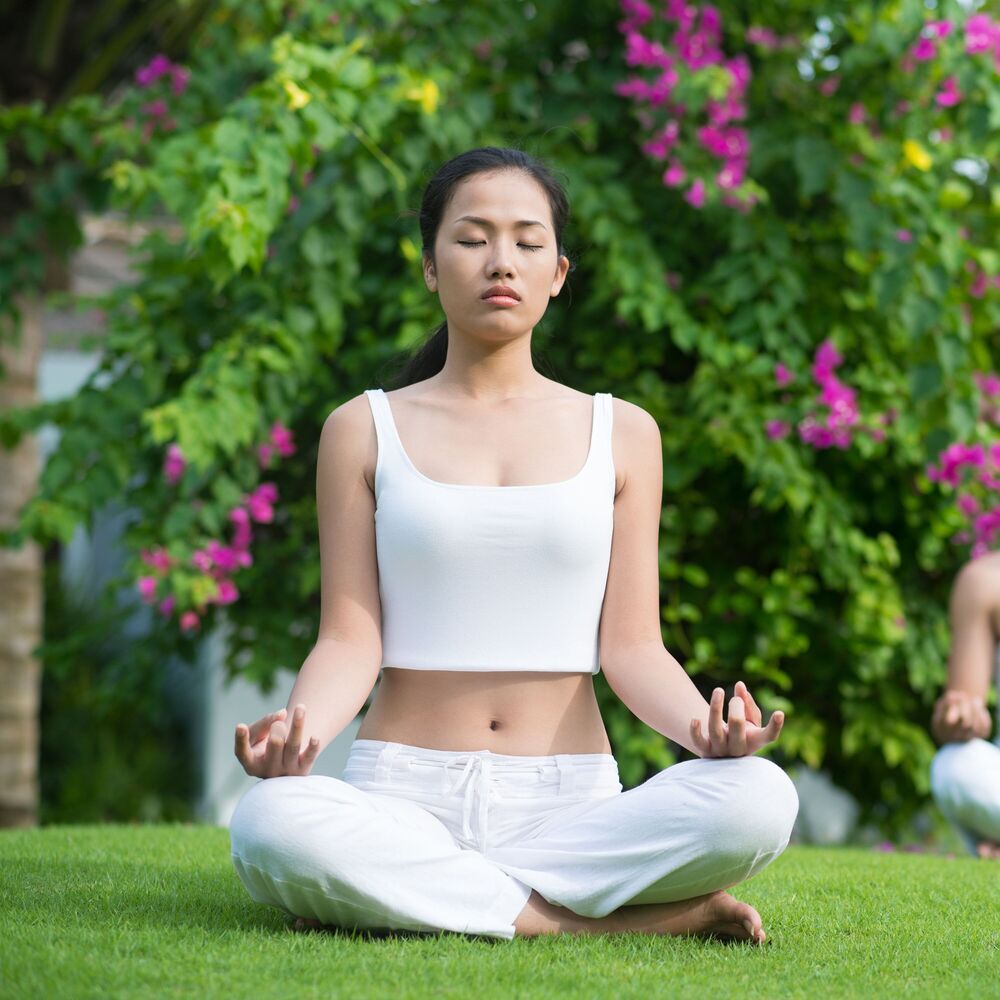 Picture of Zen Garden: Ambient Serenity for Mindful Meditation