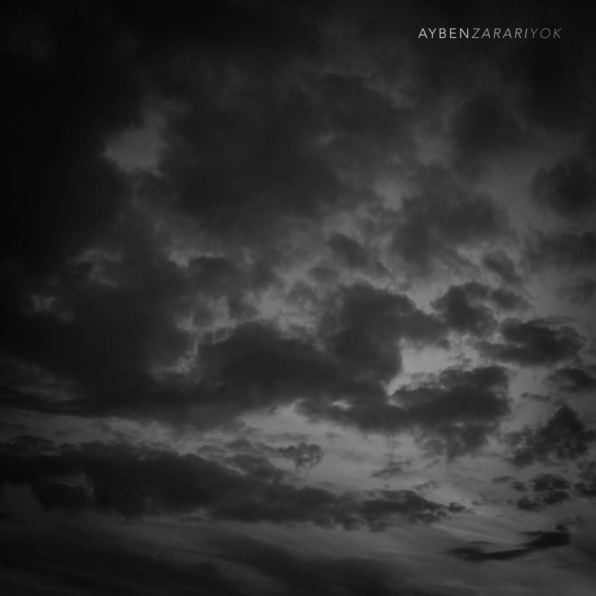 Album cover of Zararı Yok