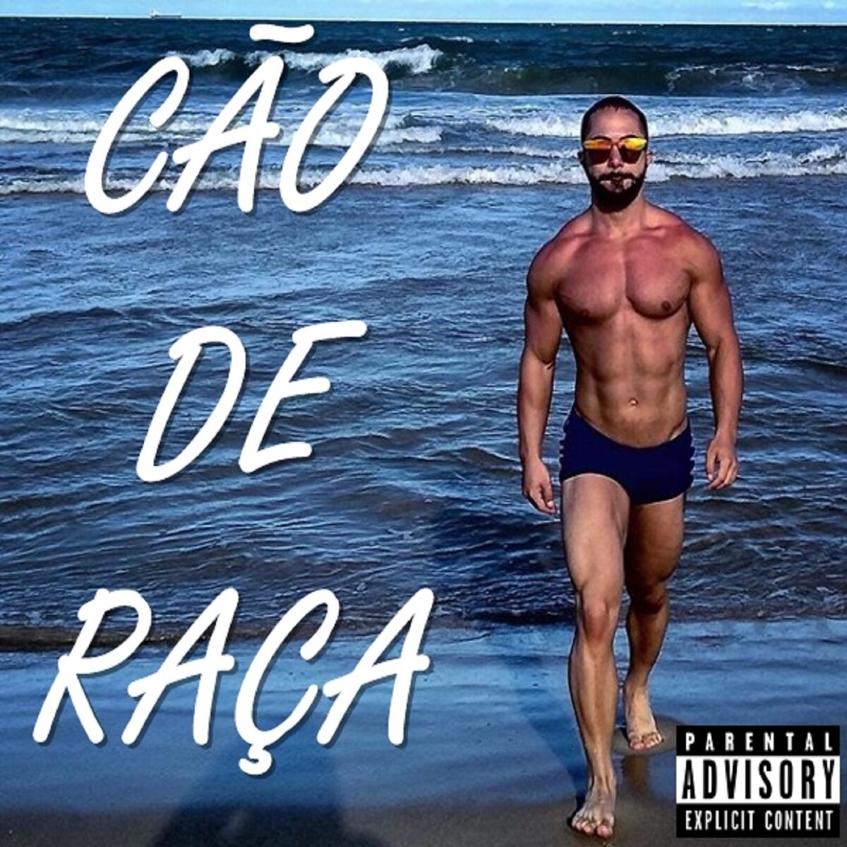 Album cover of Cão de Raça