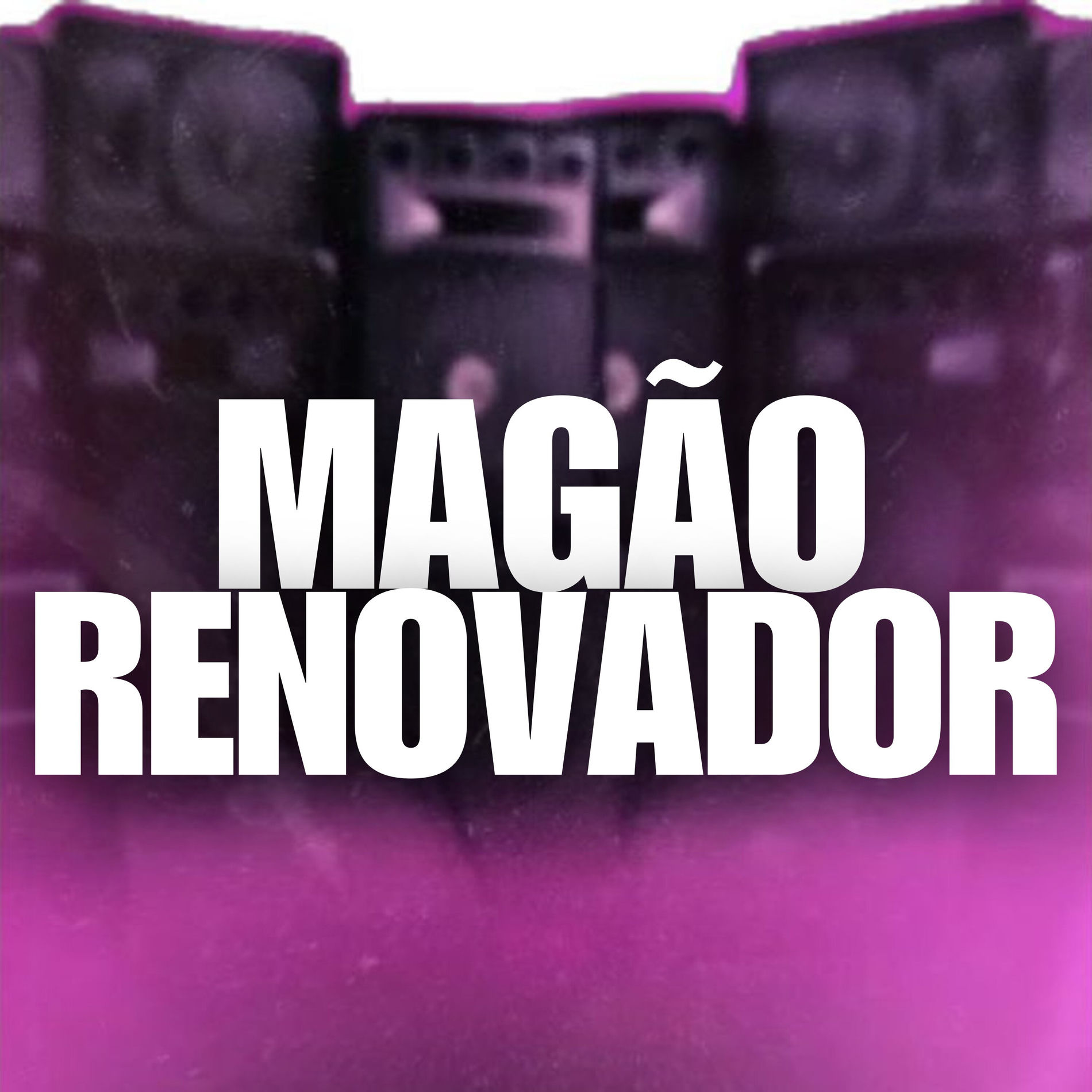Album cover of Magrão 2014 Renovador
