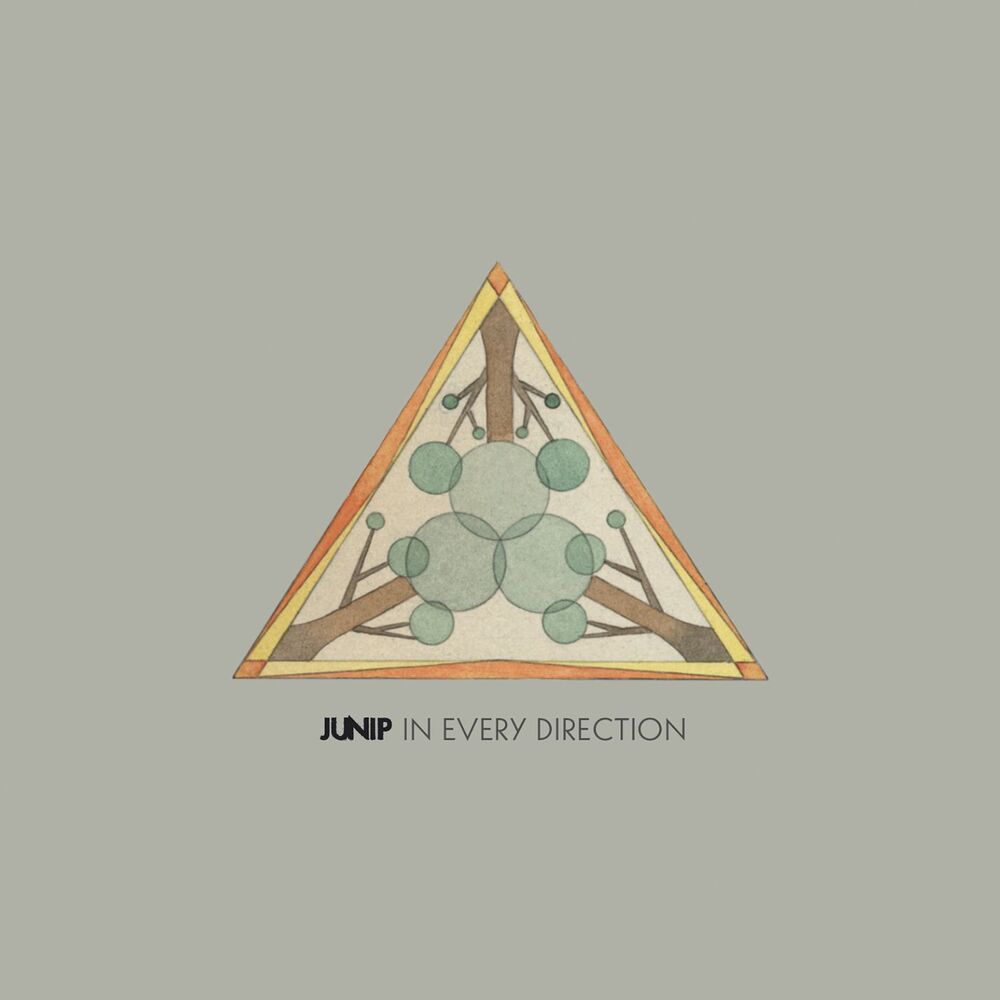 Picture of In Every Direction