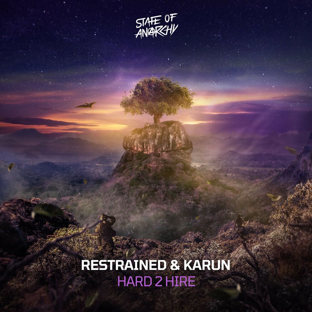 Picture of Hard 2 Hire