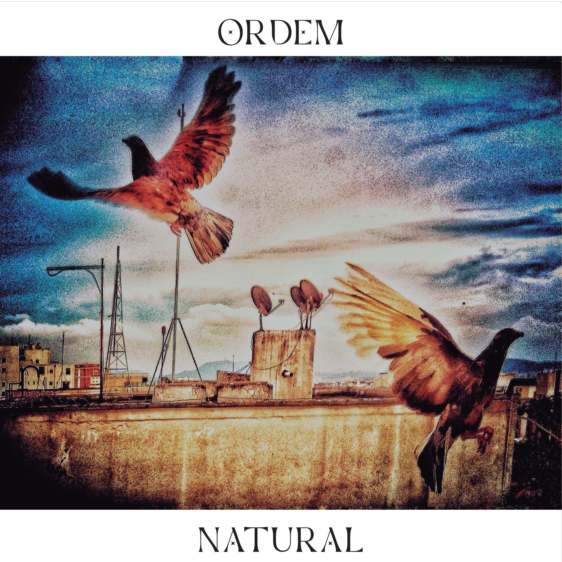 Album cover of Madeira de Lei