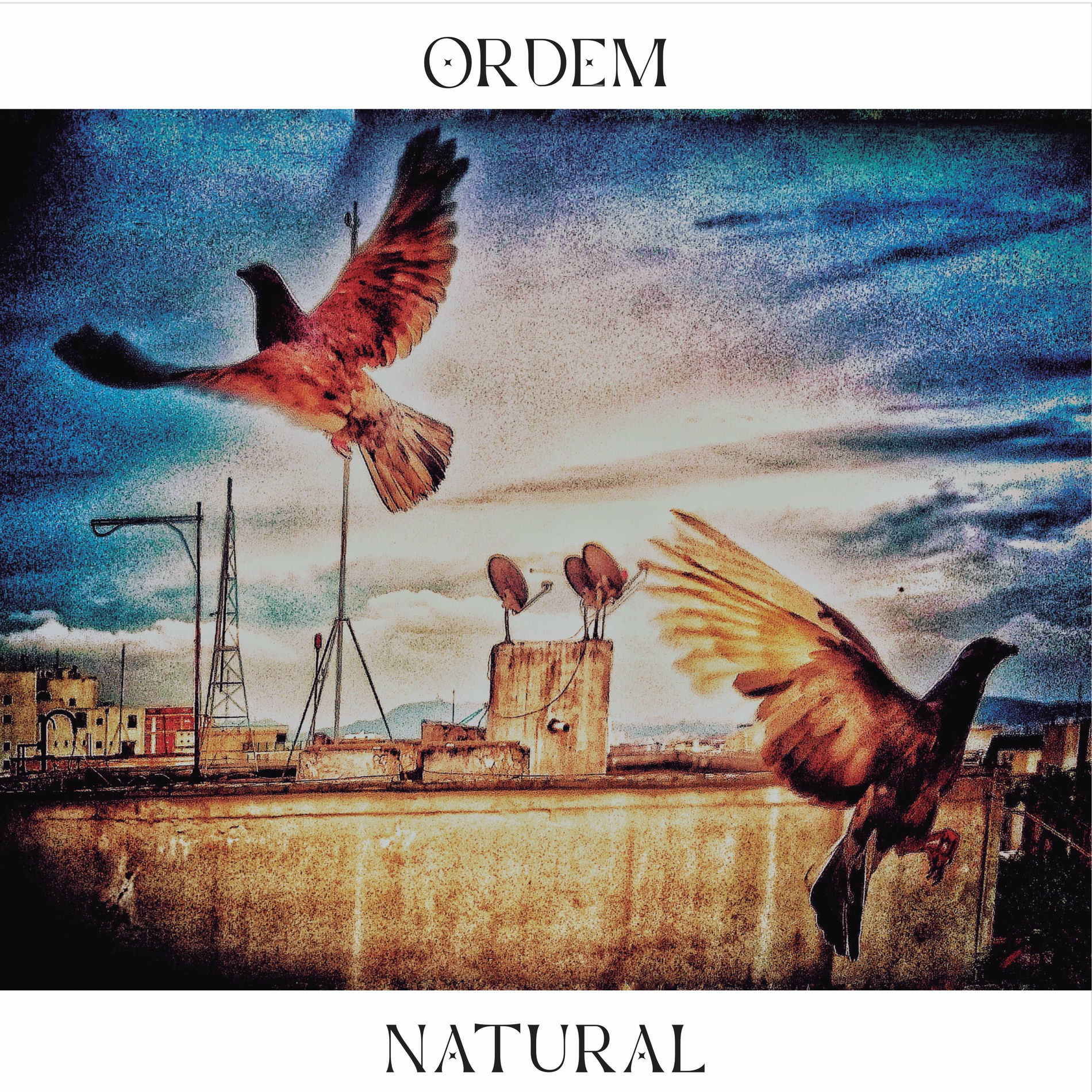 Album cover of Ordem Natural, Vol. 2
