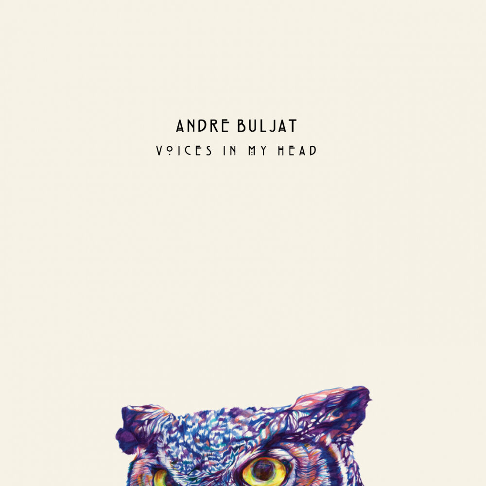 Picture of Voices In My Head