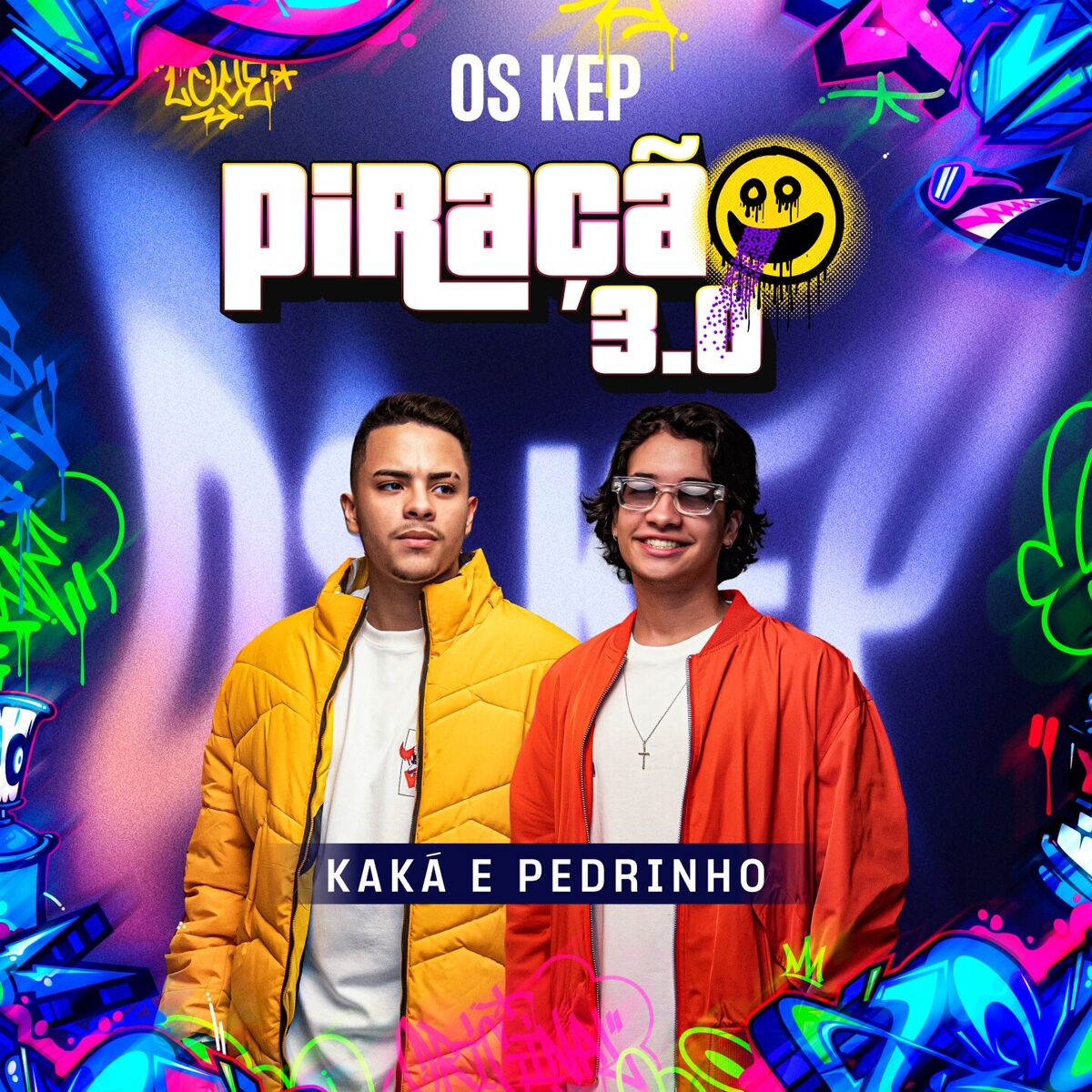 Album cover of Vergonha Na Bagaceira
