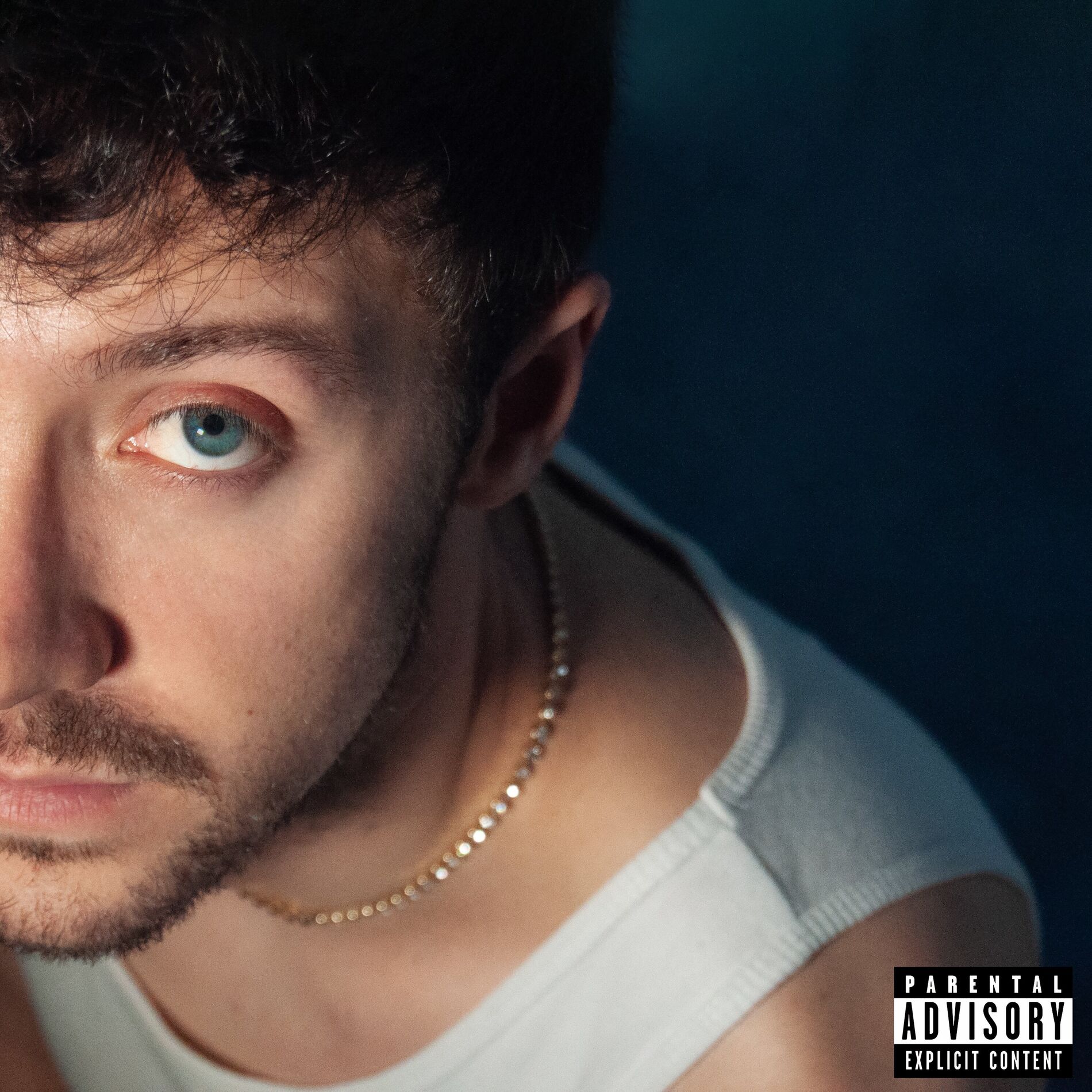 Album cover of LAGUUUNAS