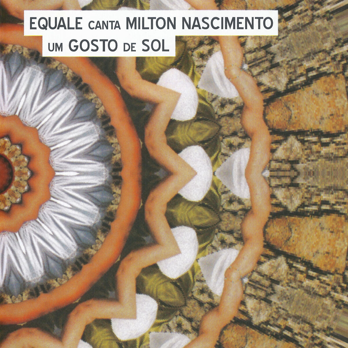 Album cover of Um Gosto de Sol