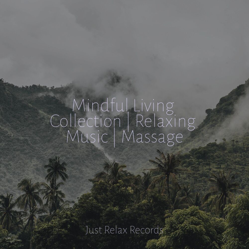 Picture of Mindful Living Collection | Relaxing Music | Massage