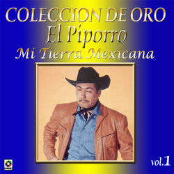 Cover of Colección De Oro, Vol. 1: Mi Tierra Mexicana