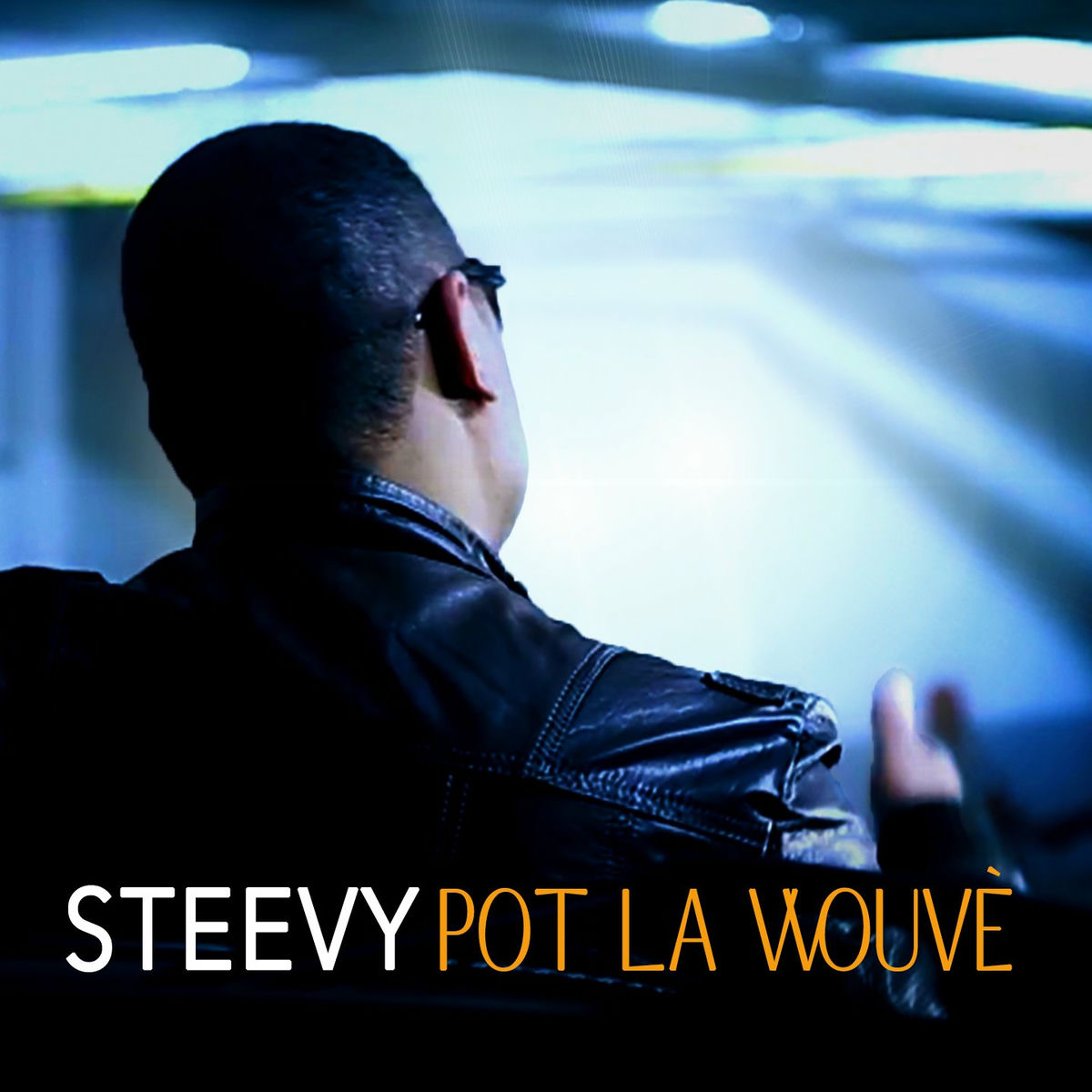 Album cover of Pot la wouvè