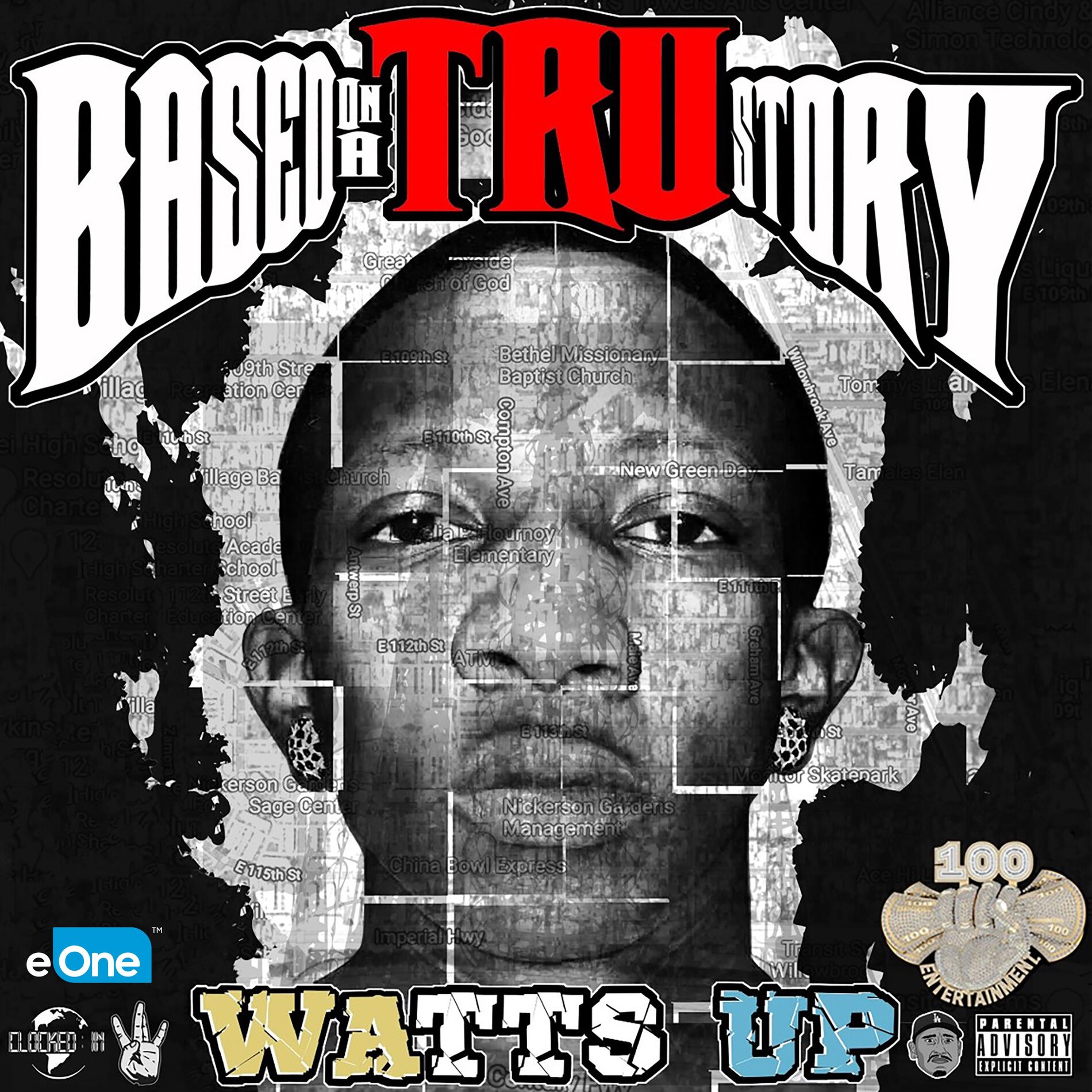 Album cover of Based On A TRU Story